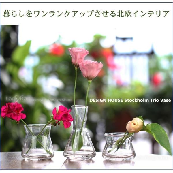 lanran_dhs-vase-torio