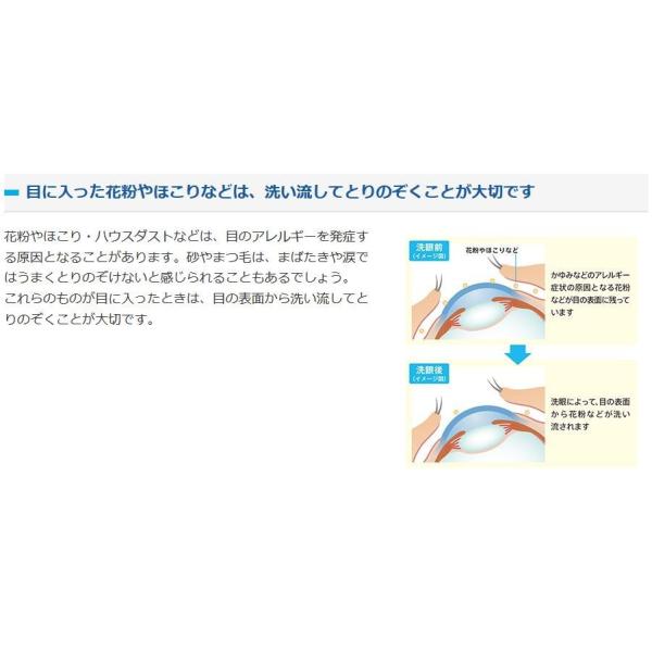 参天製薬 点眼型洗眼薬 ウェルウォッシュアイ １０ｍｌ 5個セット 第3類医薬品 Buyee Buyee 日本の通販商品 オークションの代理入札 代理購入