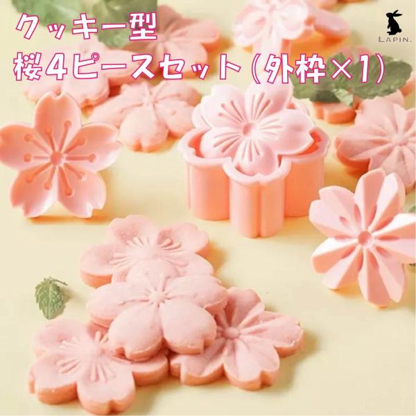 lapin-shop_ccs004ppi-712