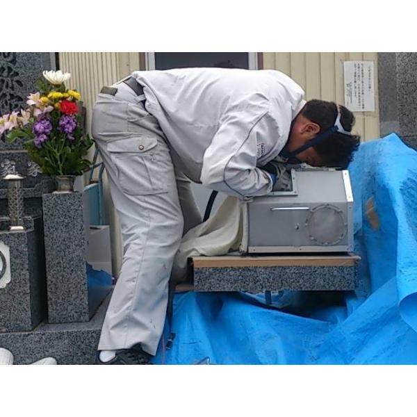 Wǉ @ǉ n   ǉ ǉ W 掏 @ 49 ނ 1 @ l\  O [