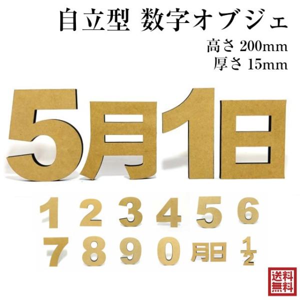  IuWF  20cm 傫TCY CeA ؐ  TCY    fBXvC u n[to[Xf[ tHg  tF[ 