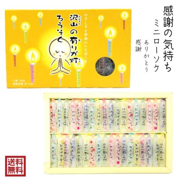 R̗L肪 낤 ۊނ炽 { [\N 36{  fUC ܂ ~ ኄ ؂̉   ԏҊ @ Ђ܂ RXX ǂ e 