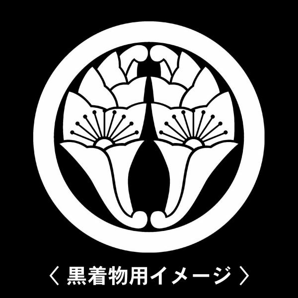 当店の【貼り紋シール】は数多くの式場、お衣装屋様にご利用頂いており、レンタルのお衣装にも安全にご使用頂けます。☆『 丸に抱き花杏葉 』 紋☆6枚1セット(1枚予備)　・男性用(4.0cm)：紋付、袴、婚礼用　・女性用(2.3cm)：留袖、喪...