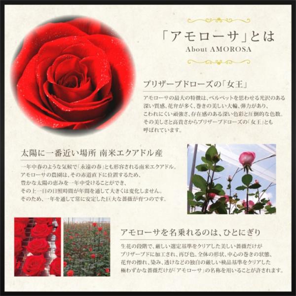 �X�����t�X�L�[ �l�b�N���X ���f�B�[�X �I�[�v���n�[�g �ꗱ �_�C�������h���[�Y BOX �S�[���h �s���N�S�[���h �v���`�i �V���o�[ | �n�[�g �a���� �v���[���g ���i�摜2