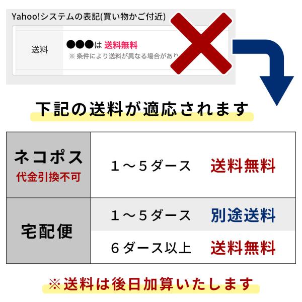 鉛筆 名入れ カラフルねーむ鉛筆 2b Hb 卒園 記念品 オリジナル えんぴつ シンプル 白軸 Buyee Buyee Japanese Proxy Service Buy From Japan Bot Online