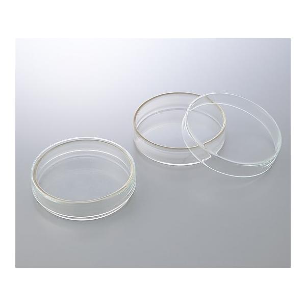 �V���[��(BOROSIL(R)) ��80×17mm 2-3977-02