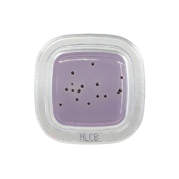 yEsz ؂`FbN DD MLCBV|n PD0016 2-6430-37