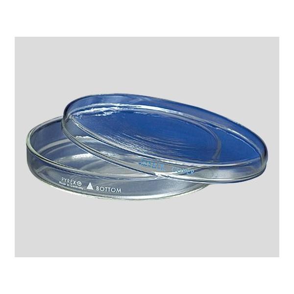 �y�g���M PYREX(R) ��150×20mm 3160-152 2-9447-01