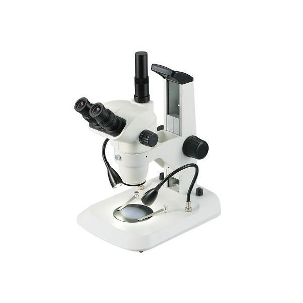 Y[̌(tLVuCgt) O 3-107-02