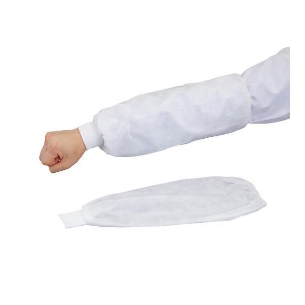 �f�B�X�|�r�J�o�[(�����ȃS���i��) 100���� SN-605 4-2883-01