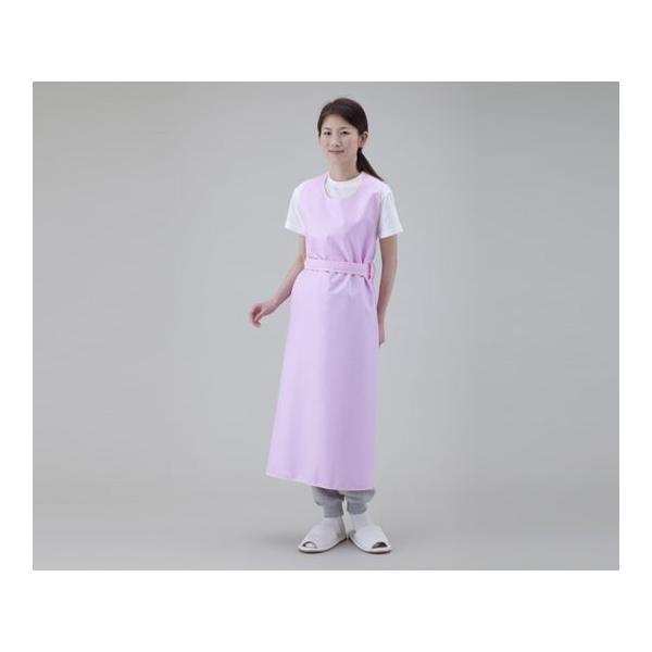 irX pGv iЂ^Cvj sN^M 8-1589-01