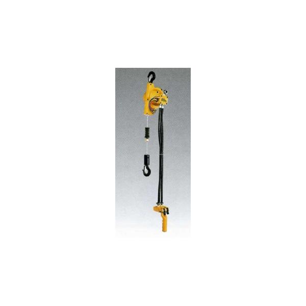 遠藤工業 (ENDO) エアホイスト 【定格荷重120kg/揚程1.9m】 EHW-120R