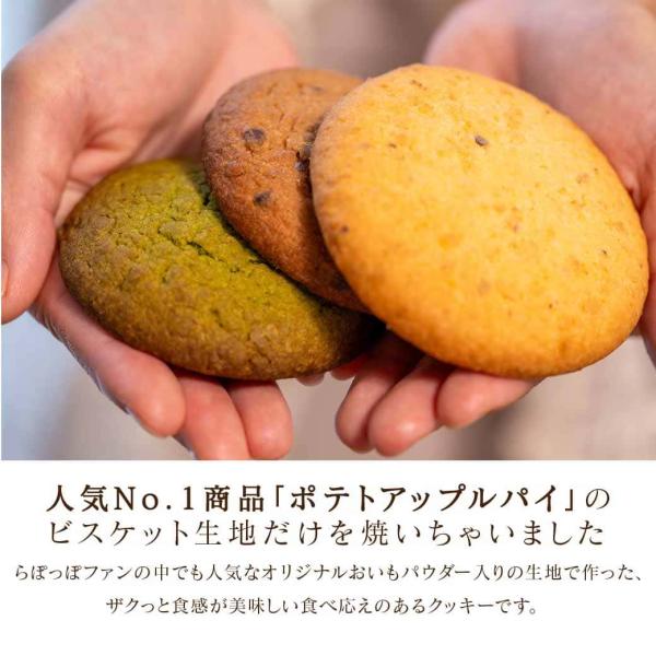 らぽっぽ　おいもクッキー3種セット（プレーン・チョコ・抹茶）