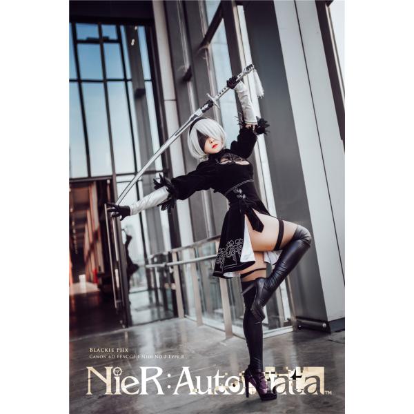 三分妄想1/3Delusion】NieR:Automata ニーア オートマタ ヨルハ二号B型