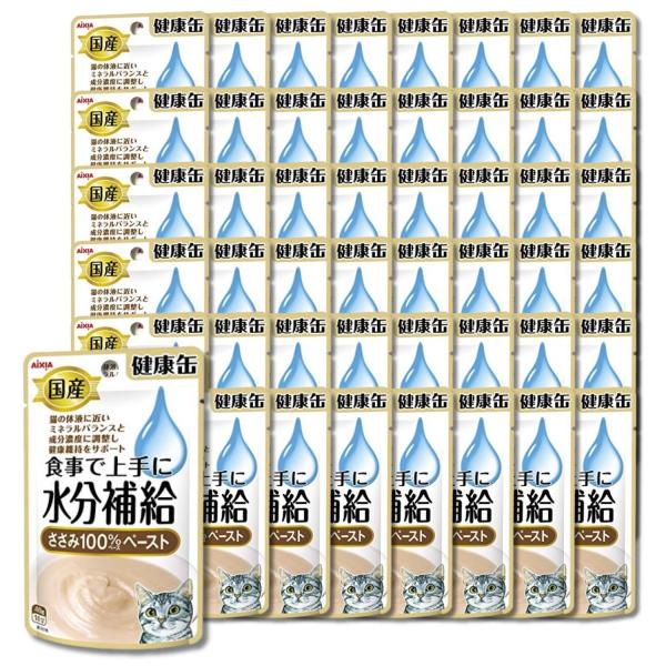 48個セット アイシア 国産健康缶パウチ 水分補給 ささみペースト 40g キャットフード
