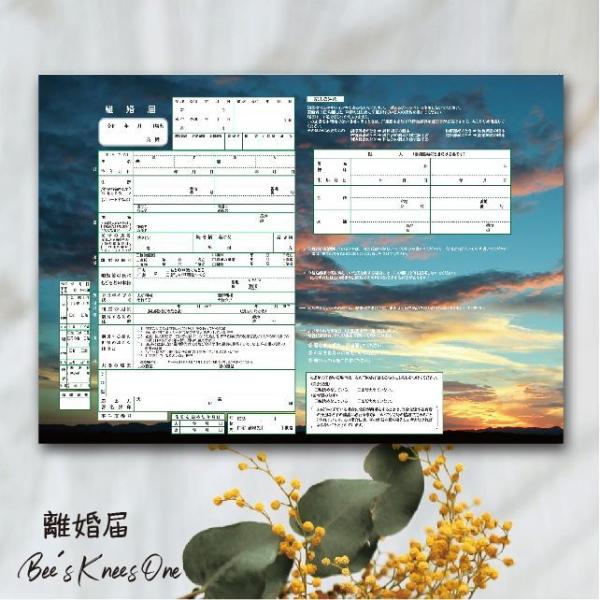 【役所に提出できる】デザイン離婚届『夕焼けに向かって』オリジナル離婚届 御守・引き留め・浮気防止・結婚式二次会の景品などに最適