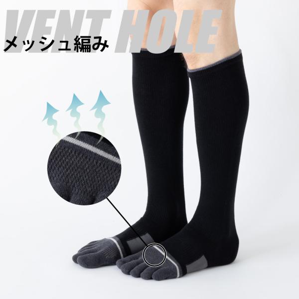 5�{�w �n�C�\�b�N�X 22-24cm 24-26cm 26-28cm �X�|�[�c �T�|�[�g ����~�� �R�ۖh�L ���� 30618 3���� ���� �ܖ{�w �C�� �T�b�J�[ ���{�� LASANTE ���i�摜4