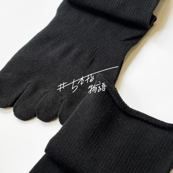 5�{�w�\�b�N�X 23cm 25cm 27cm ��100% �N���[ ���� 11103 ���ߕt���Ȃ� ������� ���f�B�[�X �����Y �ܖ{�w �C�� ���{�� LASANTE ���i�摜1