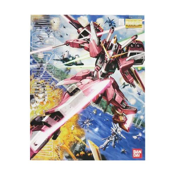 MG 機動戦士ガンダムSEED DESTINY ZGMF-X19A インフィニット