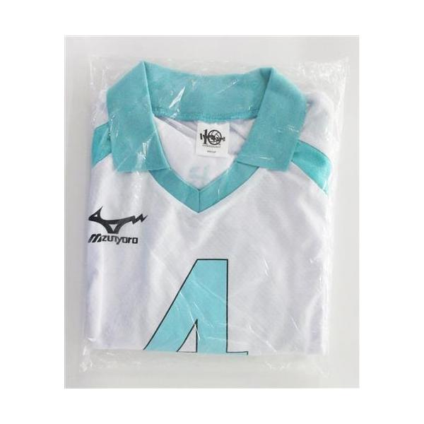 lashinbangtsuuhan_l02101293