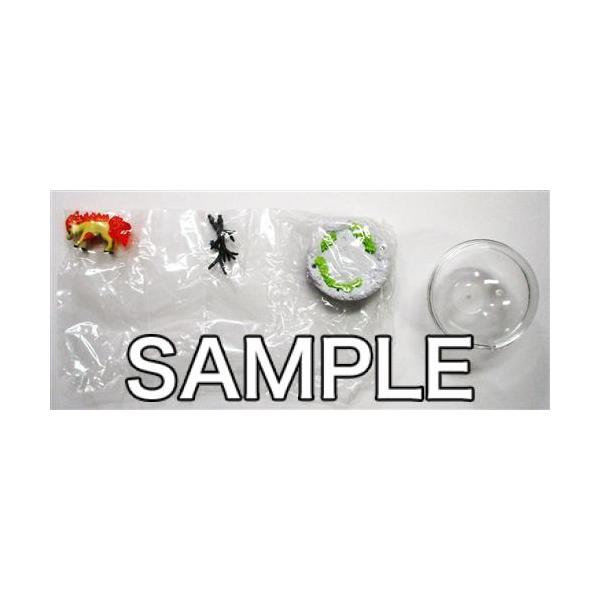 ポケットモンスター テラリウムコレクション 5 ポニータ フィギュア リーメント Dejapan Bid And Buy Japan With 0 Commission