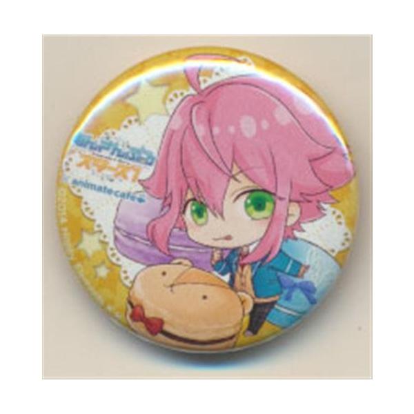 あんさんぶるスターズ×アニメイトカフェ トレーディング缶バッジ 姫宮
