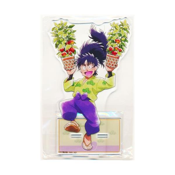 忍たま乱太郎×浅草花やしき 描き下ろしイラスト みんなで下町散策の段