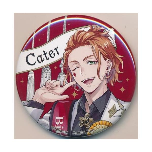 ツイステ　ケイト　おめかし　缶バッジ　バースデー　ツイステッドワンダーランド Disney TWISTED-WONDERLAND 缶バッジコレクション(おめかしバースデー