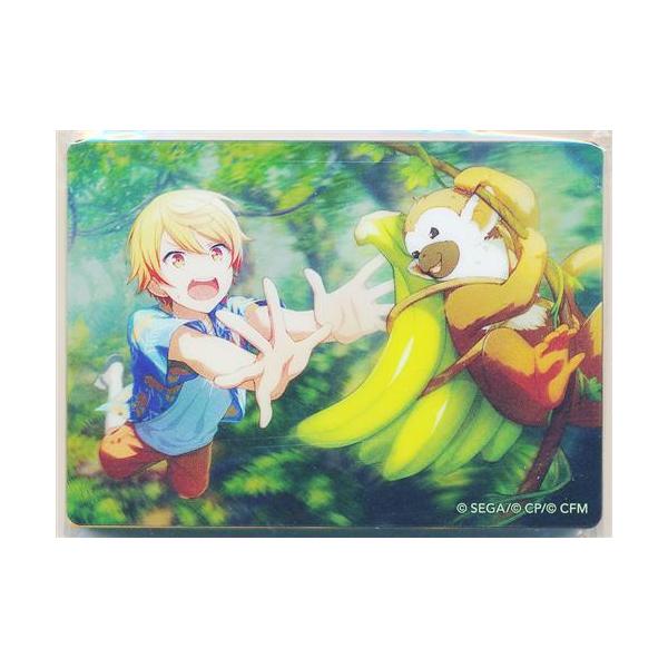 プロジェクトセカイ カラフルステージ ノーブルアートコレクション vol