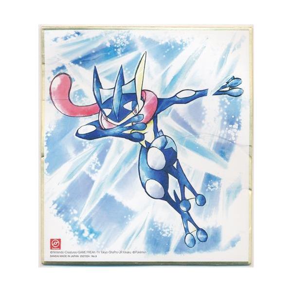 ポケットモンスター ポケモン 色紙ART 4 ゲッコウガ : らしんばん通販