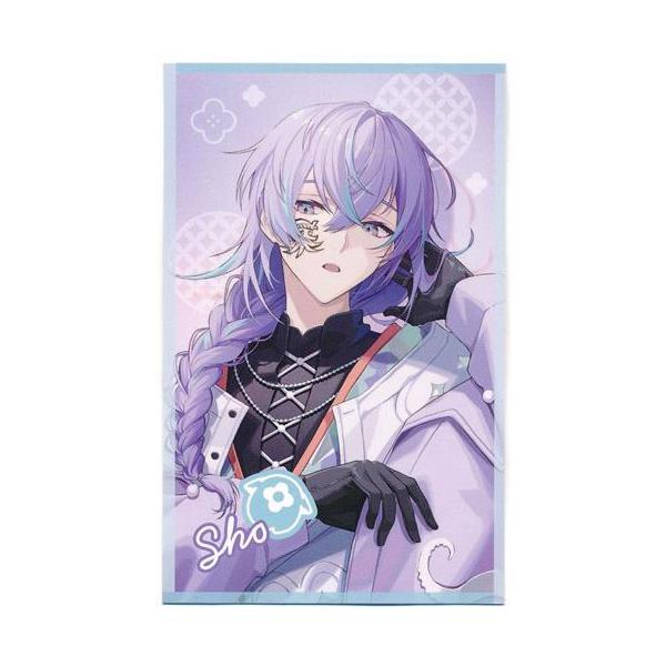 にじさんじ Dytica Happy Pack 2025 ランダムチェキ風カード 星導