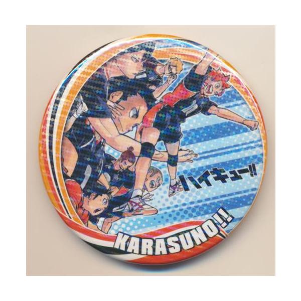 ハイキュー コレクション缶バッジ 第6弾 烏野高校 (レア) : らしんばん