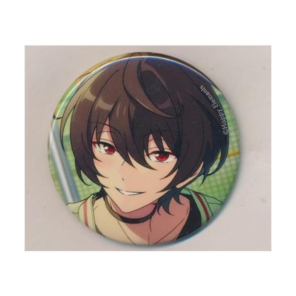 あんさんぶるスターズ コレクション缶バッジ 2025 Apr. -Casual Side