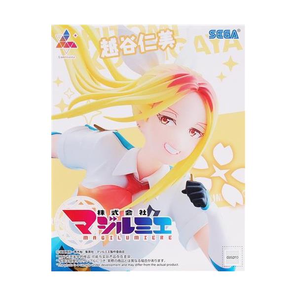 株式会社マジルミエ Luminasta 