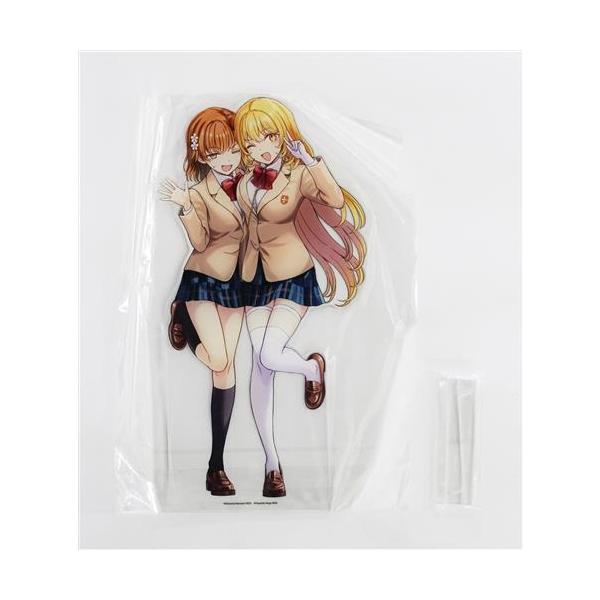 とある魔術の禁書目録外伝 とある科学の心理掌握 ビッグアクリル