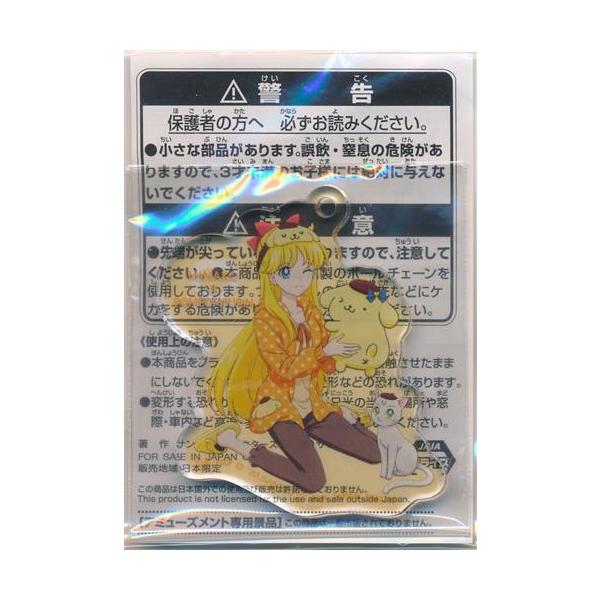 美少女戦士セーラームーンシリーズ×サンリオキャラクターズ アクリル