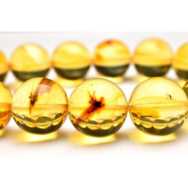 1点物】全粒内包☆限定入荷！ 虫入りアンバー琥珀 11.5-12mm