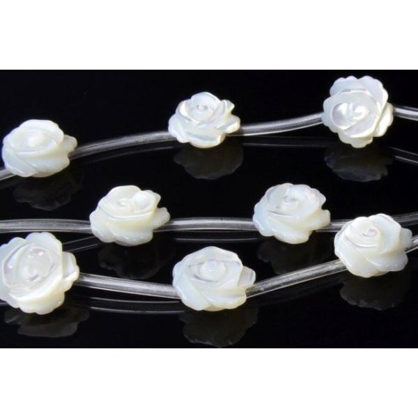 8mm �u�}�U�[�I�u�p�[�� �i�o���J�b�g�K�N�E�w�ʕ��j�v �P�A�i15������j_R1588-8 ��5000�~�ȏ�l�R�|�X���������I