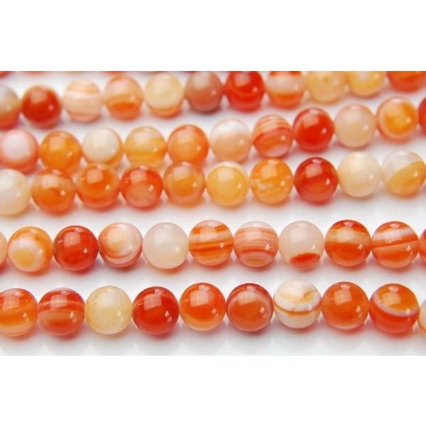 uԓV΁v@6mm PAi38cmj_R698 5000~ȏlR|XI