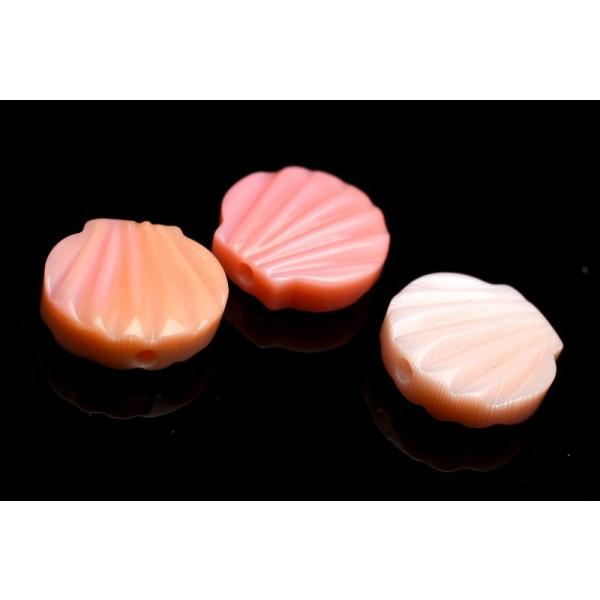 コンクシェルパーツ 10mm×3個 8mm×5個 クイーンコンクシェル 貝殻 3粒セット 10x10mm 粒売り_T558 : ラトリエ
