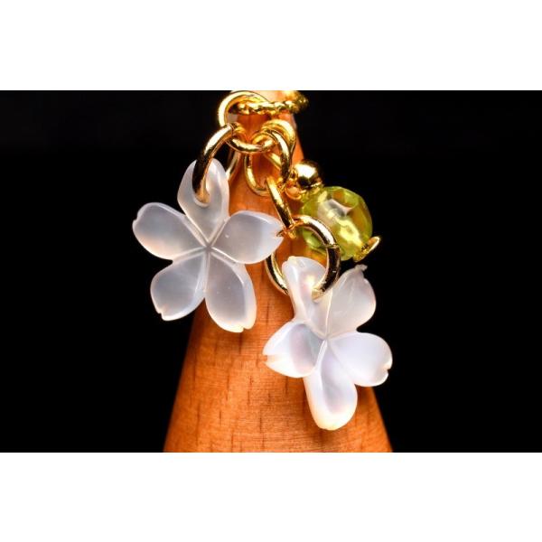 tJIzCgVF×yhbg@23x10mm@XIWi`[ VR΃p[Xg[_T562