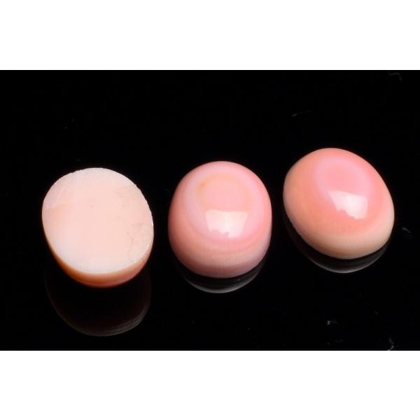 クイーンコンクシェル 11x9mm オーバル型 ルース 3粒セット_T614