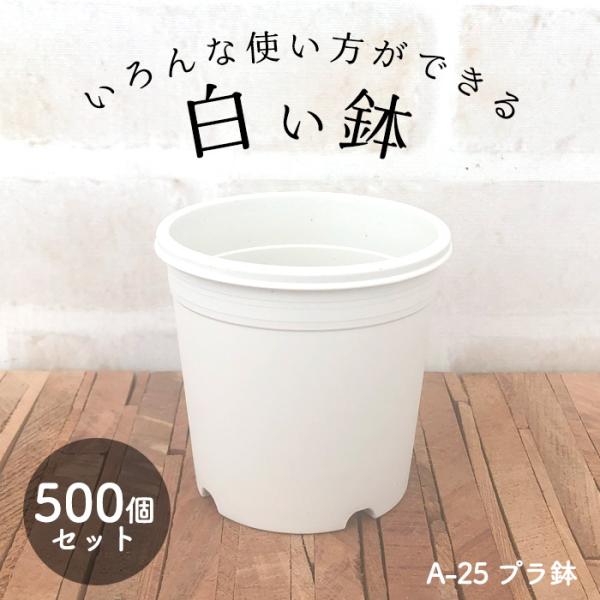 いろんな使い方ができる 白い鉢 A-25 2.5号鉢 500個セット 植木鉢 多肉