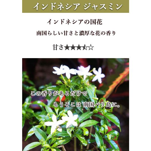 アロマオイル ジャスミン 10ml トコパラス アロマオイル 精油 エッセンシャルオイル バリ島 5つ星高級ホテル 高級サロン 高級スパ 高級リゾート アジアン Buyee Buyee Japanese Proxy Service Buy From Japan Bot Online