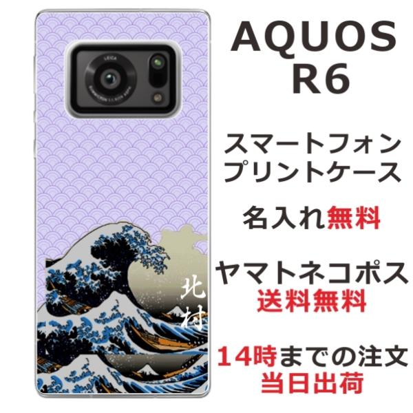 AQUOS R6 ANIXR6 SH-51B A101SH ӂ  X}zP[X a Gg