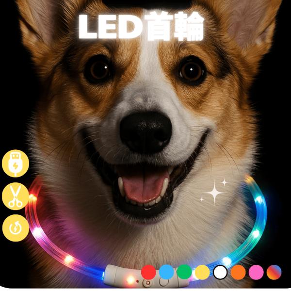光る首輪 犬用 レインボー 充電 小型犬 ひかる首輪 led 猫 大型犬 柴犬