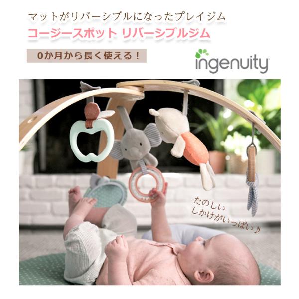 ingenuity R[W[X|bg o[VuW oYj xr[W i`  ؐ vC}bg CWFjCeB