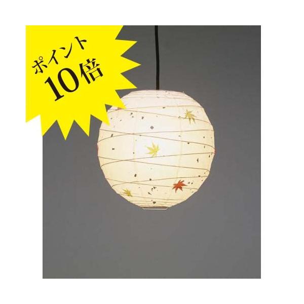 FORES эH| TP-12M (A[g) y_gCgE݂莆 TP-12M 3Nۏ