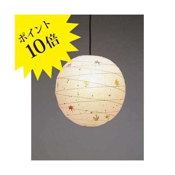 FORES эH| TP-16M (A[g) y_gCgE݂莆 TP-16M 3Nۏ