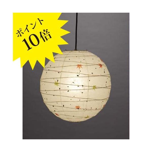 FORES эH| TP-18M (A[g) y_gCgE݂E莆 TP-18M 3Nۏ